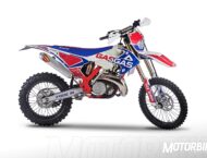 GasGas EC 250 Six Days  23