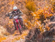 Honda CRF450L 2019 pruebaMBK005