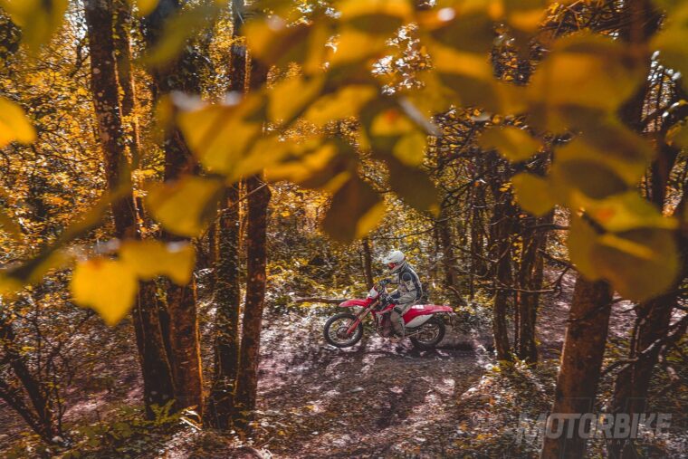 Honda-CRF450L-2019-pruebaMBK036