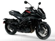 Suzuki Katana 2019 59