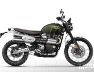 Triumph Scrambler 1200 XC 2019
