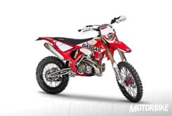 GasGas EnduroGP 300 2019 34