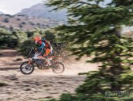 KTM 790 Adventure R 2019 22
