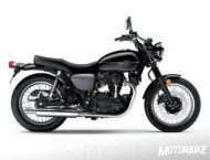 Kawasaki W800 Street 2019
