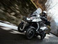 Quadro Qooder Steinbock 2019