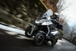 Qooder Steinbock 2019