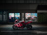 Suzuki GSXR 1100  VENOM Luciano Consolini