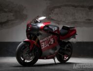 Yoshimura GSXR 1100  VENOM Luciano Consolini