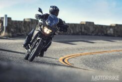 Top 10. Las mejores trail 2019 para el carnet A2 22 Kawasaki Versys X 300 2019 08