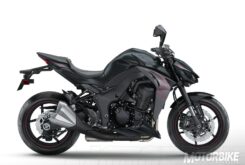 Kawasaki Z1000 2019