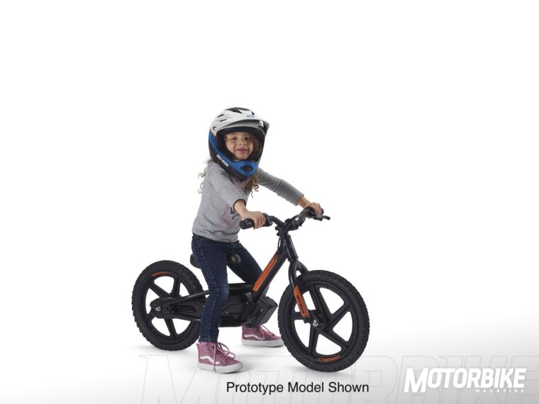 Harley-Davidson-StaCyc (2)