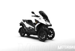 Quadro eQooder 20201
