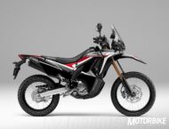 Honda CRF250 Rally 2020