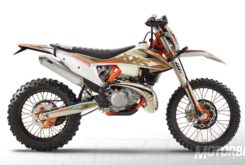 KTM 300 EXC TPI Erzbergrodeo 2020