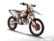 KTM 300 EXC TPI Erzbergrodeo 2020 enduro 04