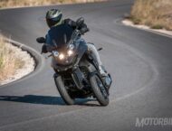 Quadro QV3 2019 Prueba0224