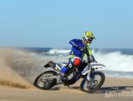 Sherco 300 SEF Factory 2020 11 Sherco 300 SEF Factory 2020 07