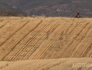 BMW R nineT Scrambler pruebaMBK068