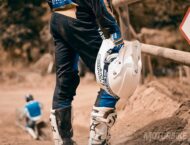 Cascos Scorpion gama 20207