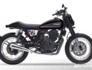 Mash Dirt Track 650 2019