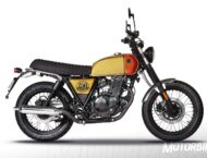 Brixton Cromwell 250 2024