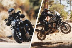 Harley Davidson Bronx Pan America 2021