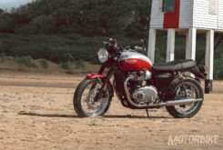 Triumph T100 Bud Ekins 2020