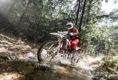 RFME Moto de campo Sostenible MCS Bridgestone