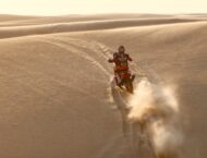 Dakar 2021: ¡Fechas y recorrido en Arabia Saudí! 1 Dakar 2020 Etapa 11 (11)