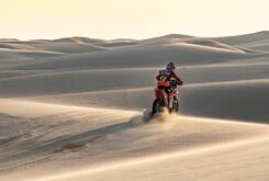 Dakar 2020 Fotos Etapa 10 (8)