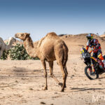 Dakar 2020: Ricky Brabec vence por delante de Barreda y da otro zarpazo a la general 1 Dakar 2020: dónde seguirlo por televisión