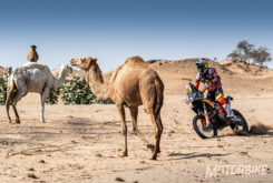 KTM Dakar 2020 previa (3)