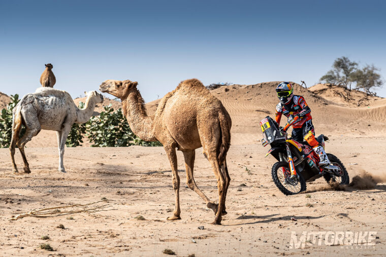 KTM-Dakar-2020_previa (3)