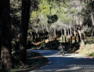 BMW F 900 R 2020 presentacion prueba 20