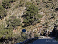 BMW F 900 R 2020 presentacion prueba 30