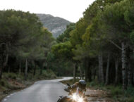 BMW F 900 XR 2020 presentacion prueba 27