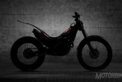 Montesa Cota 301RR 2020