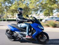 Wottan Storm S 300 2020 06