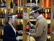 pantalla protectora NZI V4 11