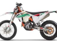KTM 250 EXC F Six Days 2021 (1)