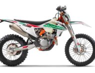 KTM 250 EXC F Six Days 2021 (2)