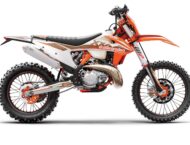 KTM 300 EXC TPI Erzbergrodeo 2021