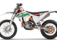 KTM 450 EXC F Six Days 2021 (1)