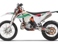 KTM EXC 250 TPI Six Days 2021 (2)