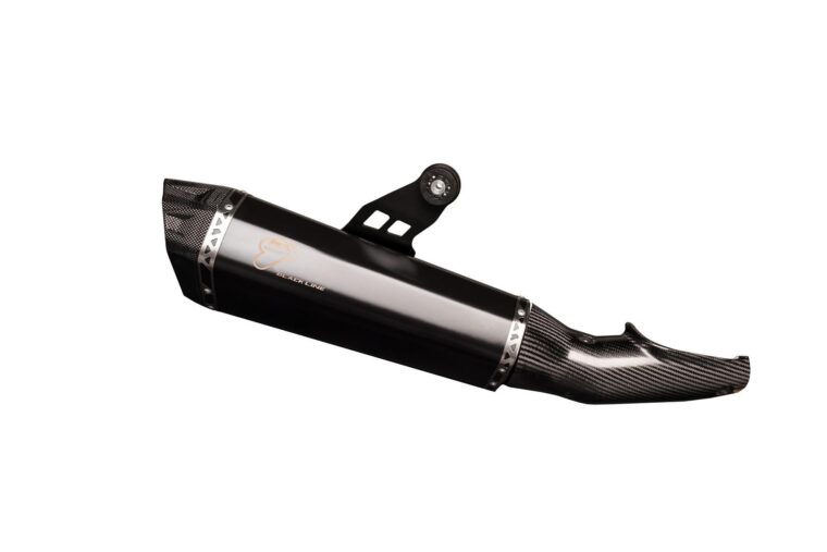 Termignoni-BMW-R-1200-GS (1)