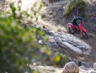 Honda CRF450RX 2021 (15)