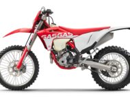 GasGas EC 350F 2021 enduro (10)