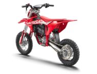 GasGas MC E 5 2021 (10)