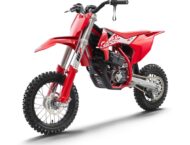GasGas MC E 5 2021 (9)