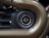 Harley Davidson Softail Fat Bob 114 detalles 17